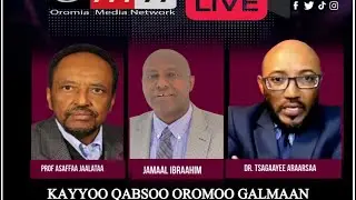 OMN: Kaayoo Qabsoo Oromoo galmaan gahuuf maaltu barbaachisa? Kutaa 3ffaa. Gaheen Hayyootaa maali?