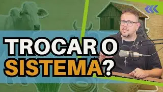 Vale a pena TROCAR NOVILHAS por GARROTES na recria e engorda?