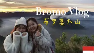 印尼爪洼岛绝美布罗莫活火山/Bromo云海日出/火山上跳舞/乘吉普车到沙海/第一次骑马/雨季天天是晴天/偶遇youtube博主妮妮江