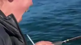 Octopus Ink to the Face