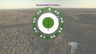 Simply Cups Animation