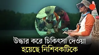 পায়ে ঠোঁটে জাল পেঁচিয়ে ক্লান্ত হয়ে পড়ে ছিল একটি নিশিবক | Black Crowned Night Heron | Prothom Alo