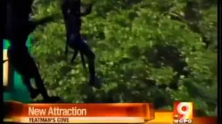 New attraction at Yeatman's Cove