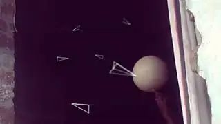 J ROOT skills