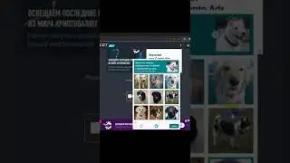 FIREFaucet &ndash; огненный кран #crypto