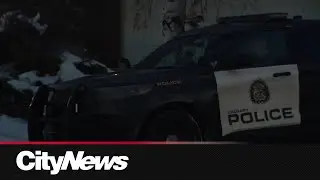 Domestic incident in SE Calgary leaves man in 70s dead: CPS