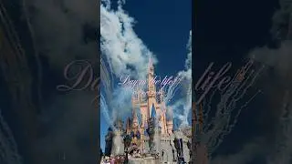 Disney solo trip!! Nothing wrong with going alone! #disney #solotrip #florida #fyp
