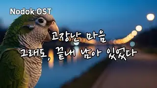 🎼 고장난 마음 시리즈 │ 5곡 모음버텨온 마음의 기록 · 허스키 감성 트롯ㅣBroken Heart Series | 5 Emotional Korean Trot Ballads
