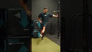Supported Standing Banded Adductor