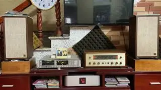Mùa xuân lá khô - tuấn vũ