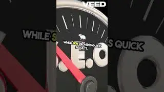 SEO vs. SEM: Paid Search vs. Organic Growth in 30 Seconds!