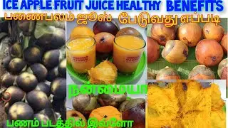 #Panampalam juice poduvathu eppadi ice apple fruit juice healthy benefits village fruit many bene...