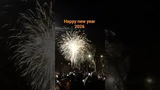 New year Fireworks display Paris