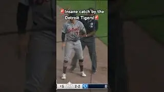 🚨Insane catch by the Detroit Tigers!🚨#baseball #mlb #sports