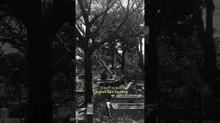 Inveigh - Sesal (Video Lirik)