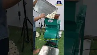 Garlic Bulb Breaker Machine | Automatic Lahsun Todne ki machine #garlicbreaker #ytshorts #machine