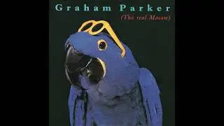 Graham Parker - Beyond A Joke