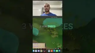 Fast Yew Woodcutting Guide: Easy XP & No Competition! #shorts