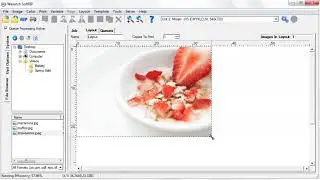 Wasatch SoftRIP - Dynamic Layout