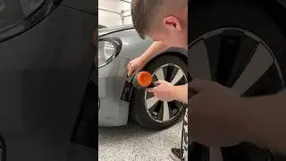 VW BEETLE SIDE MARKER TINT! #vwbeetle #vinylwrap #carguy #automotive #subscribe #volkswagen #tint