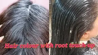 Gray Hair colour with root touch-up / Hair colour with root touch-up