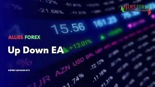 Up Down EA - Expert Advisor Result