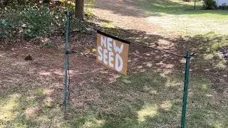 Big Fall Overseed P1