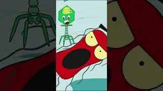 How Bacteriophages kill bad bacteria #animation #shorts