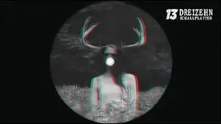 Human Insect - Horizontal Polarization (Dreizehn Schallplatten) - DRE034