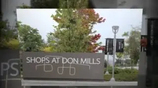 Don Mills Homes For Sale - Jamie Black - Real Estate Agent