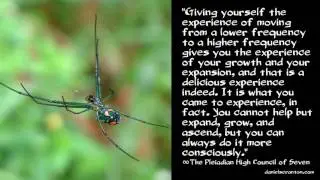 Actualizing a Frequency &infin;The Pleiadian High Council of Seven, Channeled by Daniel Scranton