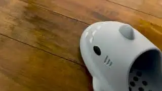 sharkslides.store