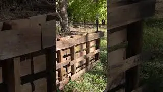 🐝Benefits of bee yard windbreak, how we make wind break from pallets 🌬️#beehive #beekeeping #bees