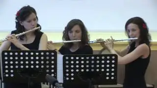 Pachelbel: Canone -  Performed by The Merliton Flute Trio