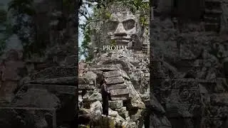 Prohm #taprohmtemple #angkorwat #cambodia🇰🇭 #angkortemples #angkor #travel #Prohm