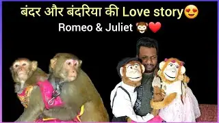 Romeo (Monkey) se milne aai Juliet 🐵😍 ।। comedy ।। @Comedian Raj Soni