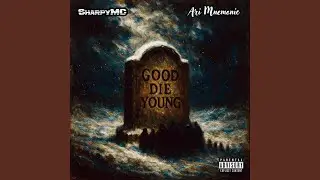 Good Die Young (feat. Ari Mnemonic)