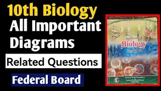 10th Biology Important(Diagrams) Questions Federal Board | 10th Biology Fbise Guess Paper 2025