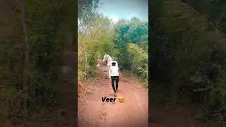 😍✨👑#youtubeshorts #viralvideo #trendingshorts #horselovers#dancinghorse#horsestunts