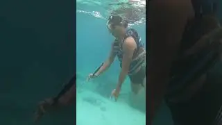 Asian's Hand Spear #spearfishing #spear
