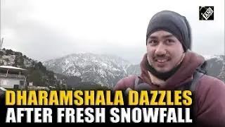 Fresh snowfall brings joy to Dharamshala as streets are covered in white snow, tourists rejoice