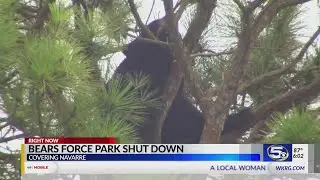 Navarre park closed due to bears