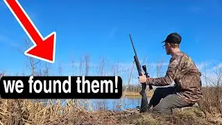 scouting beaver trapping spots(heres what to expect)