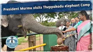President Murmu visits Theppakadu Elephant Camp | DT Next