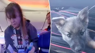 Woman Kicked Off Southwest Flight for Petting Newly Adopted Dog, Other Flyers Booted for Supporting