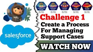 Create a Process for Managing Support Cases | Salesforce Trailhead | Create Support Processes