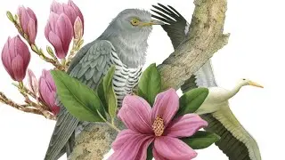 Sounds of Spring | Storytime from LADYBUG Magazineu | Cricket Media