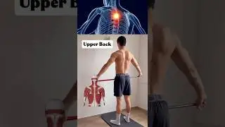 UPPER BACK #upperbackworkout #homeworkout #posturetraining #bodyweightstrength #keepsculpting #fyp