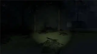 Flesh Husk Horror Game