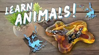 Safari Animals! | Learn African Animal Names with Nicosaurus
